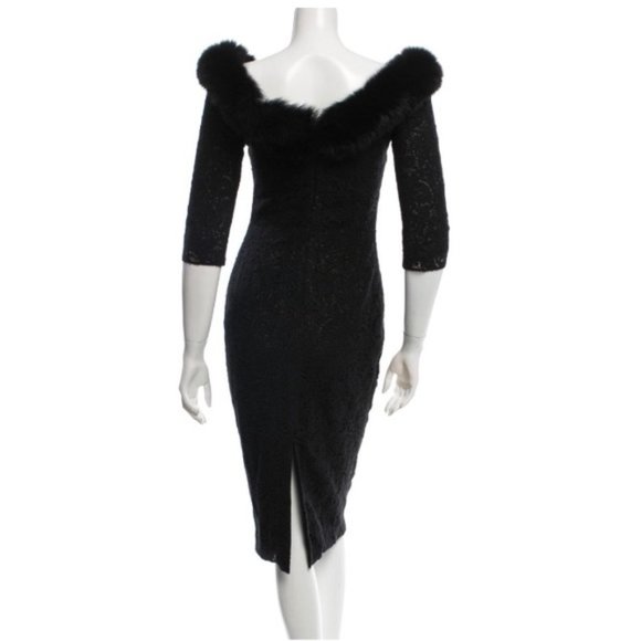 NWT PAMELLA ROLAND Mink Fur-Trimmed Formal Dress - Picture 2 of 7